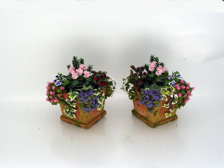 Pink Geraniums in Square Terracotta Tubs